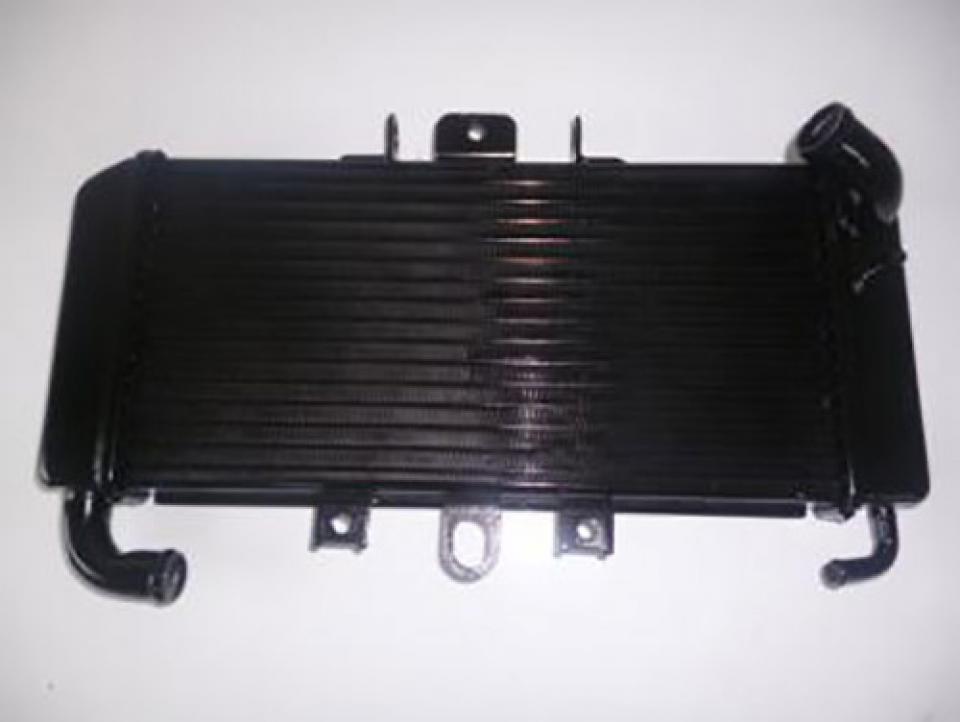 photo piece : Radiateur de refroidissement->Yamaha Fazer