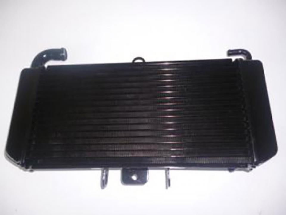 Radiateur de refroidissement pour moto Yamaha 600 Fazer 1998 - 2003 Neuf