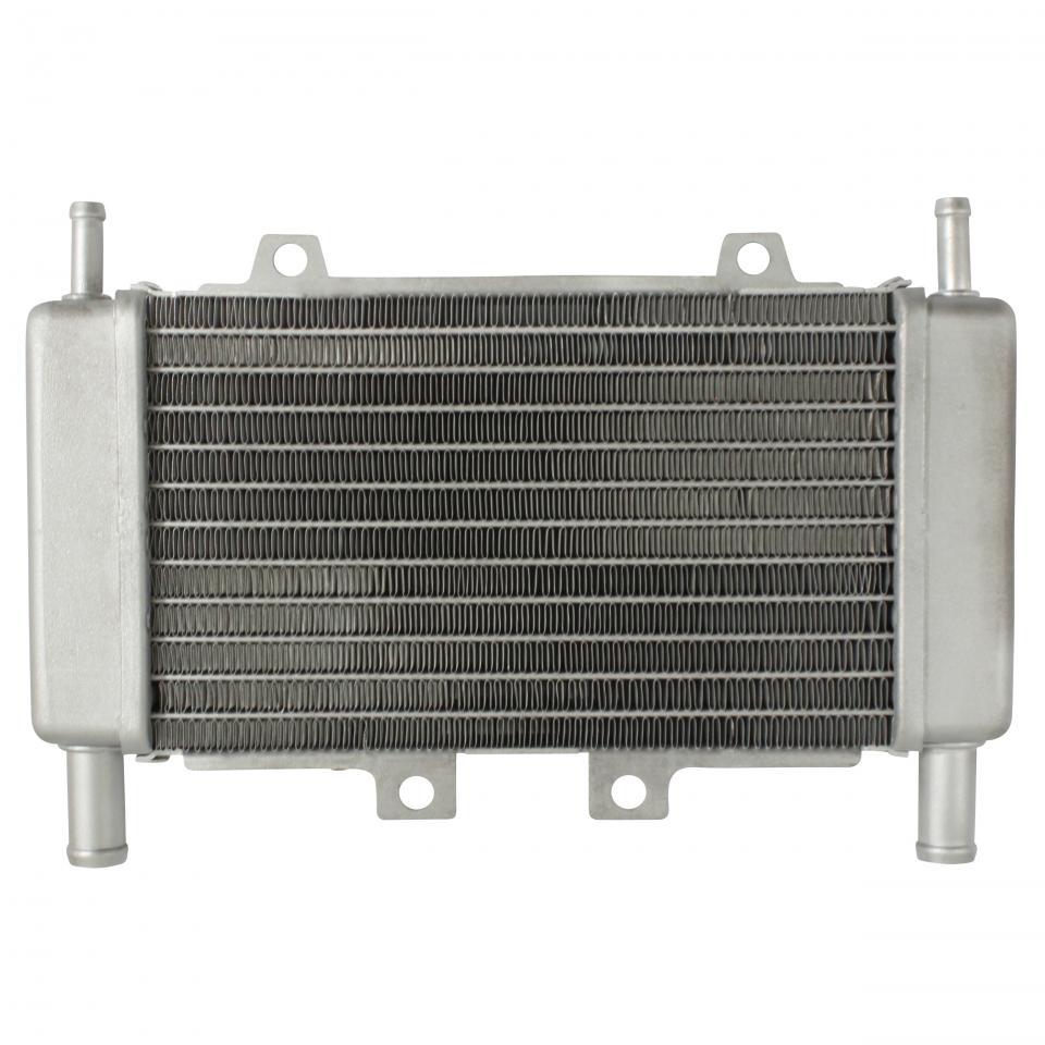 photo piece : Radiateur de refroidissement->Piaggio Zip SP