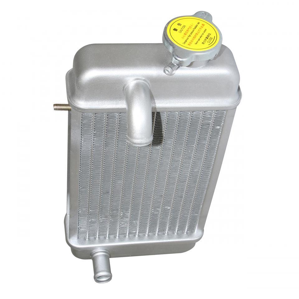 Radiateur de refroidissement P2R pour Moto Rieju 50 Spike Avant 2020 Neuf