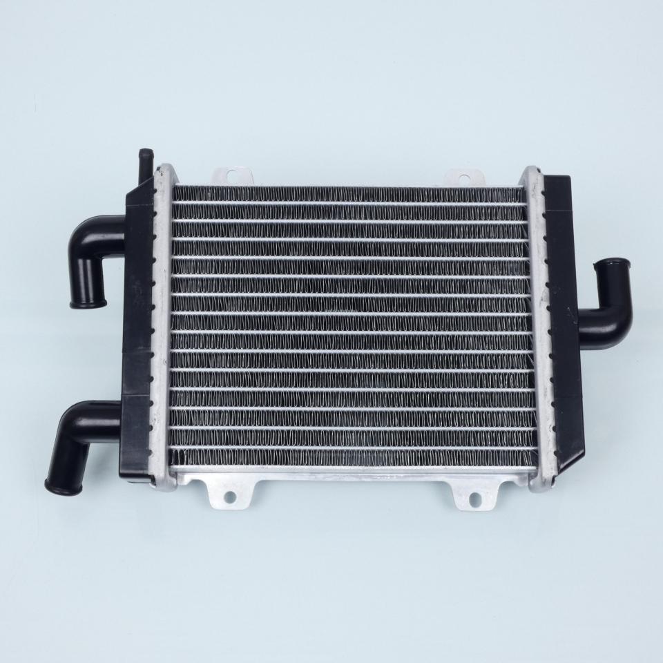 photo piece : Radiateur de refroidissement->Peugeot Speedfight