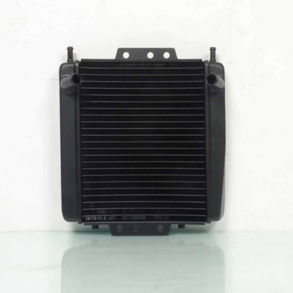 Radiateur de refroidissement TNT pour Scooter Piaggio 300 MP3 Neuf