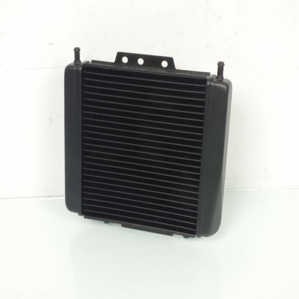 Radiateur de refroidissement TNT pour Scooter Piaggio 300 MP3 Neuf