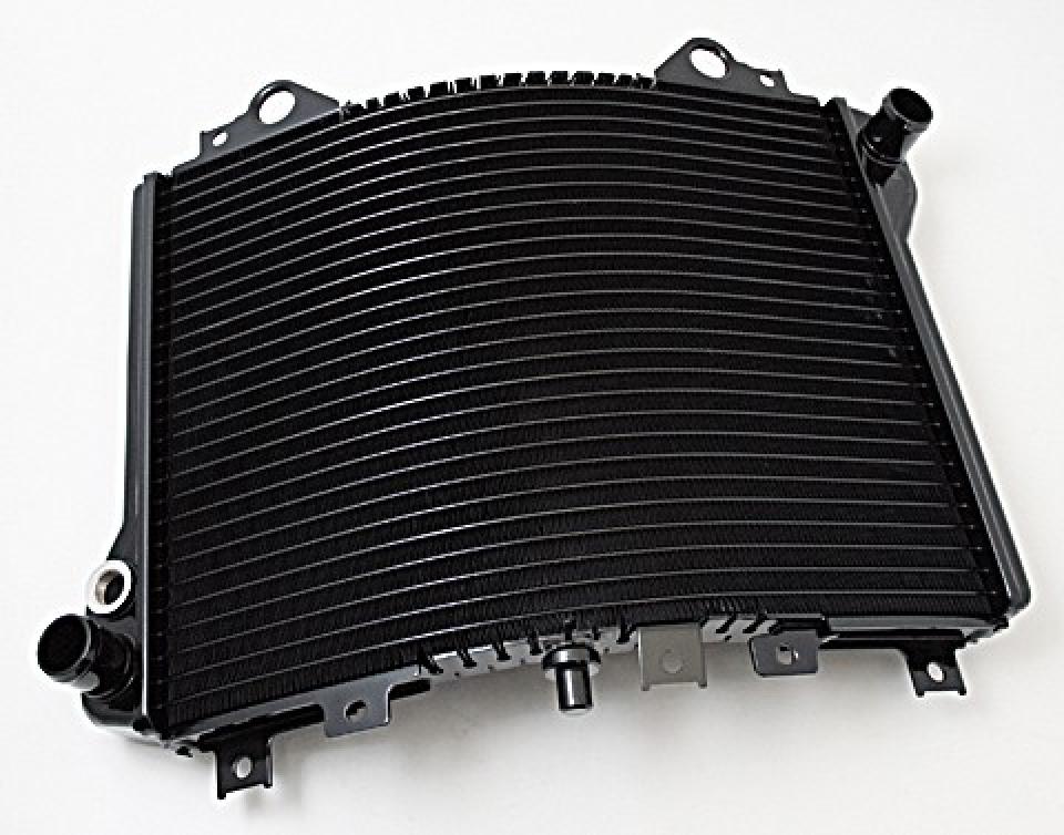 photo piece : Radiateur de refroidissement->Kawasaki ZZR