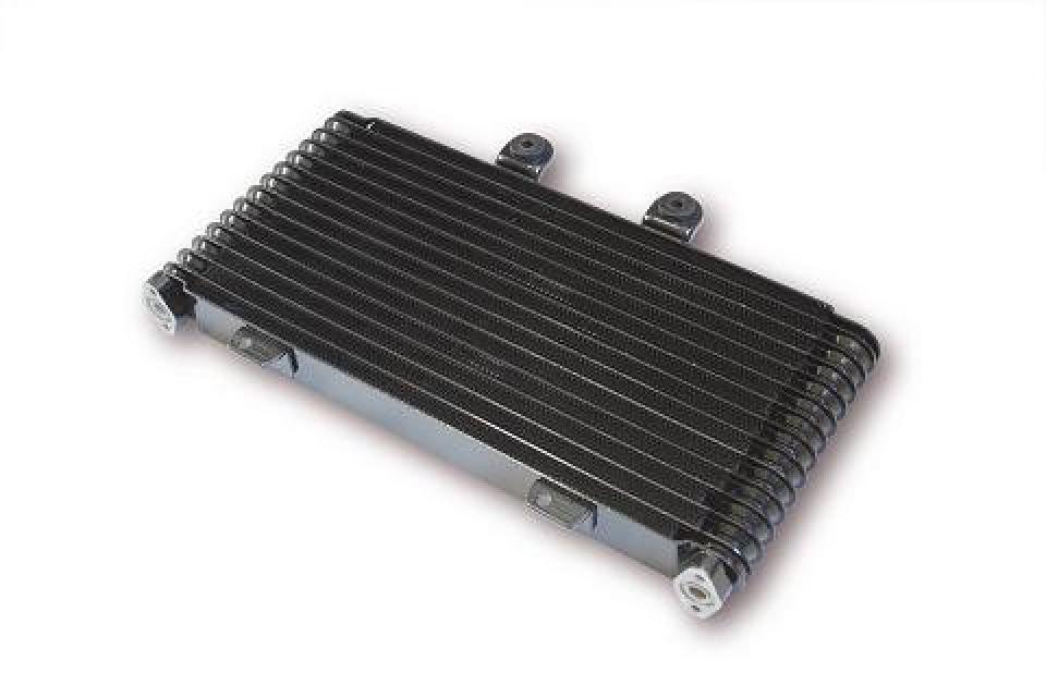 photo piece : Radiateur de refroidissement->Suzuki Bandit
