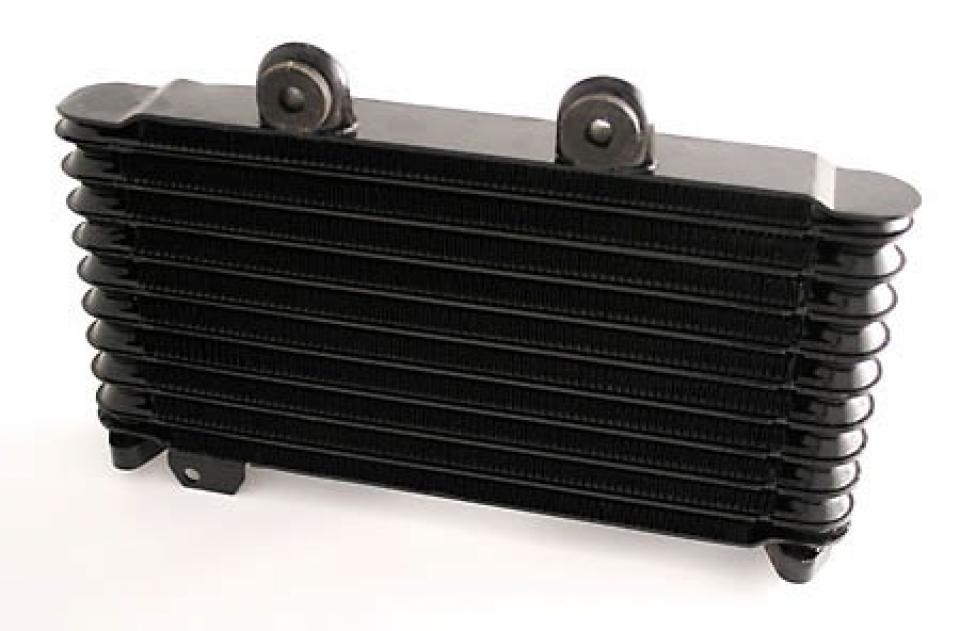 Radiateur de refroidissement pour Suzuki GSF