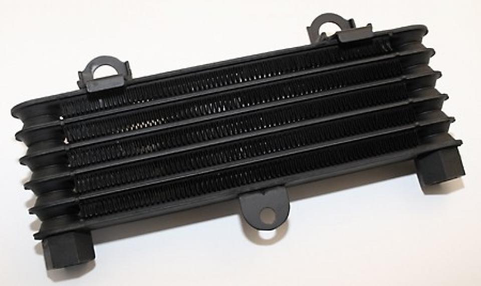 Radiateur de refroidissement pour Suzuki TL