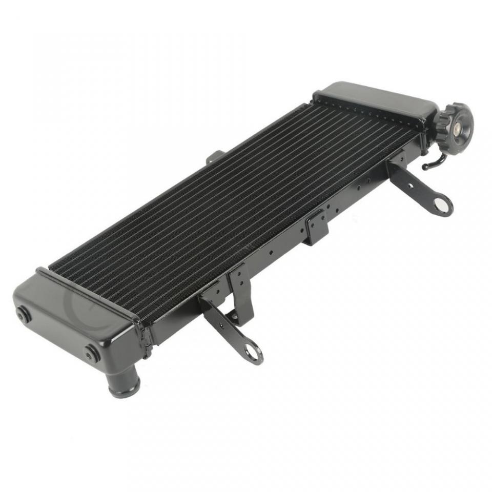 Radiateur de refroidissement Brazoline pour Moto Suzuki Sv N Neuf