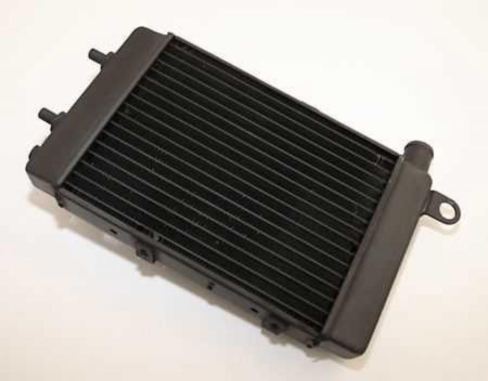 Radiateur de refroidissement Brazoline pour Moto Aprilia Tuono Neuf