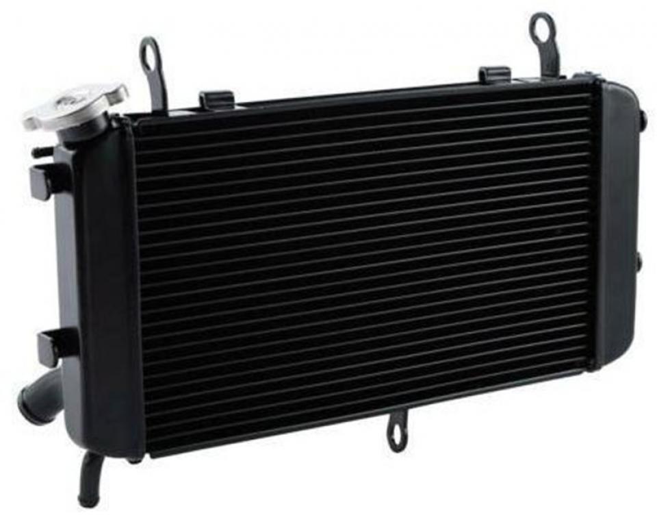 Radiateur de refroidissement pour  