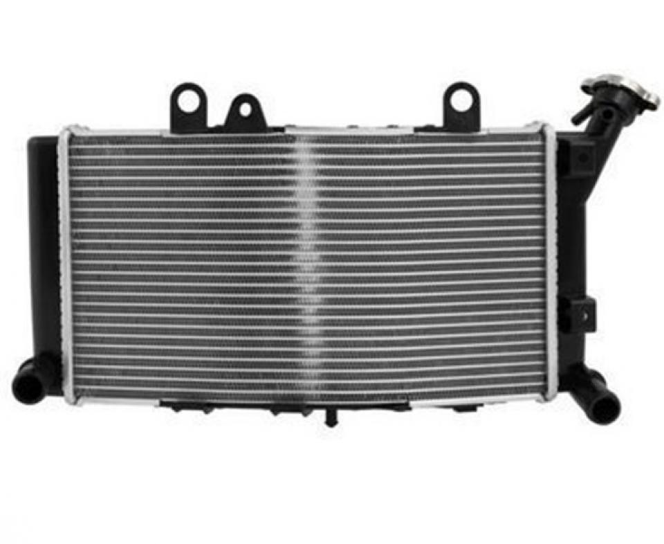 Radiateur de refroidissement pour  