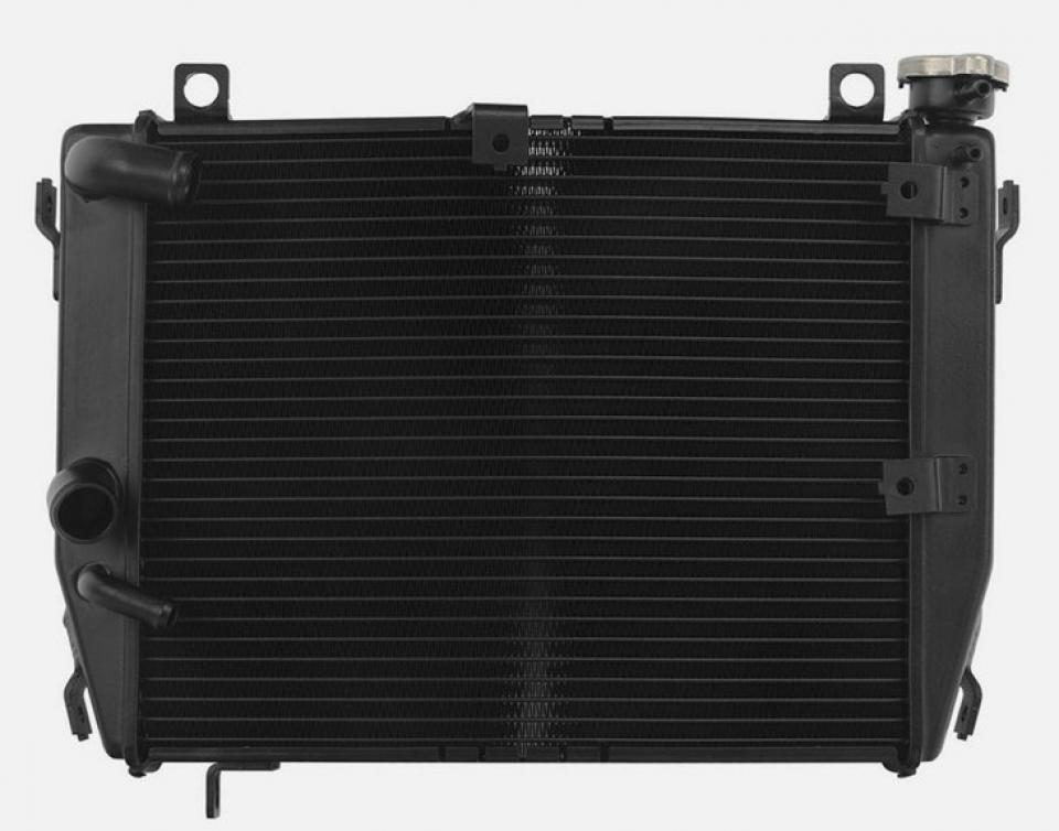 Radiateur de refroidissement pour  