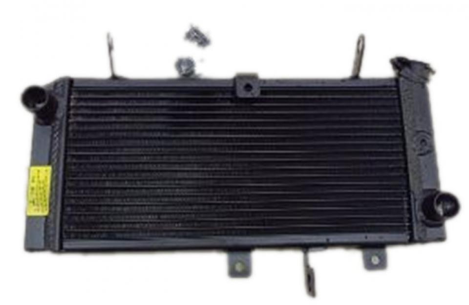 Radiateur de refroidissement pour  