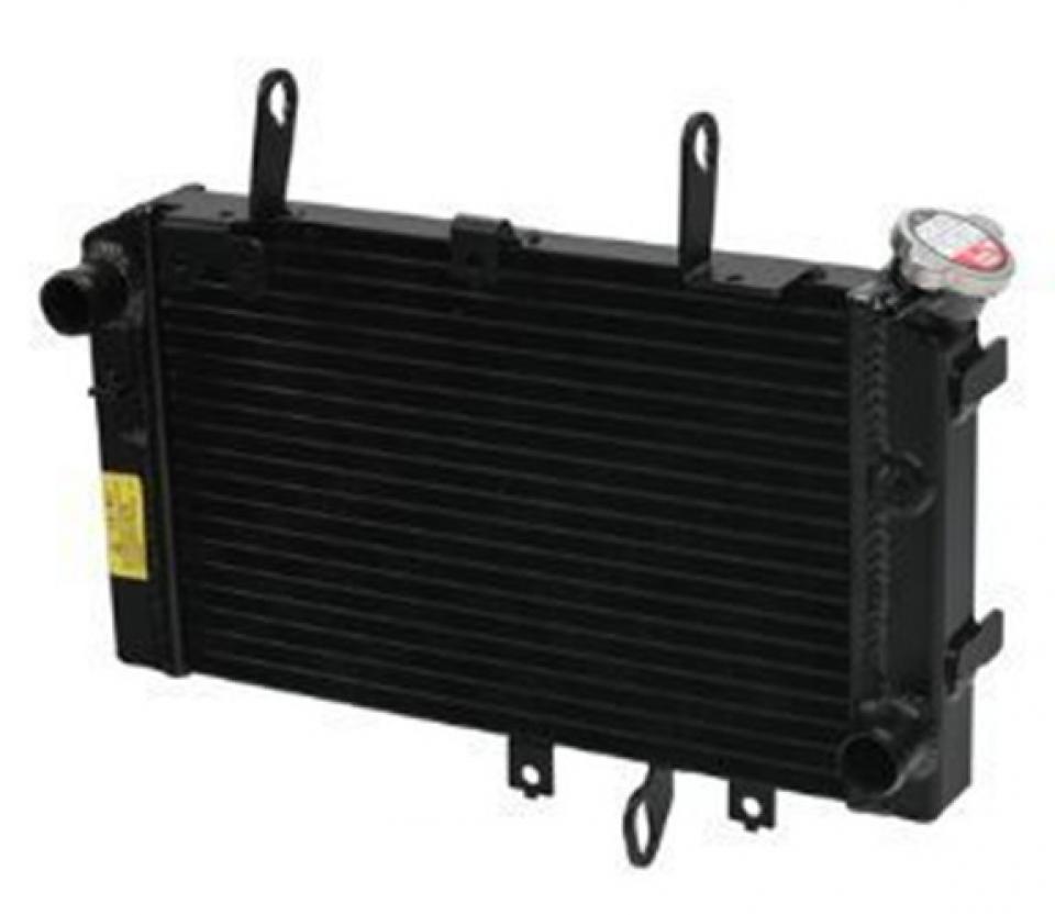 Radiateur de refroidissement pour  