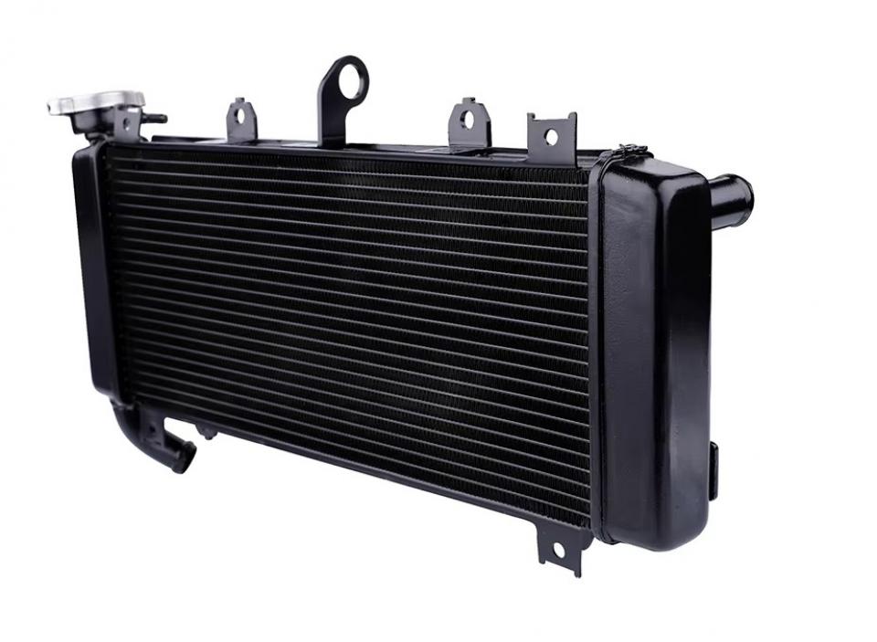 Radiateur de refroidissement Brazoline pour pour Auto Neuf