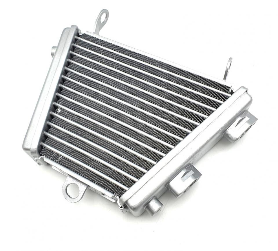 Radiateur de refroidissement Brazoline pour Auto Neuf