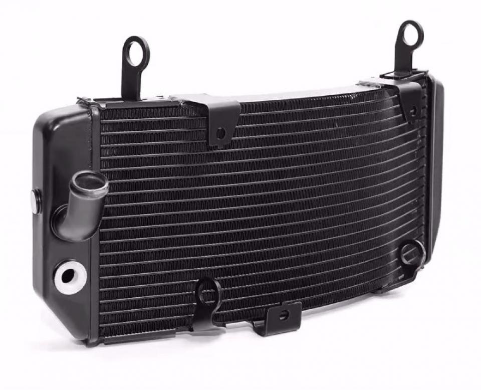 Radiateur de refroidissement Brazoline pour Auto Neuf