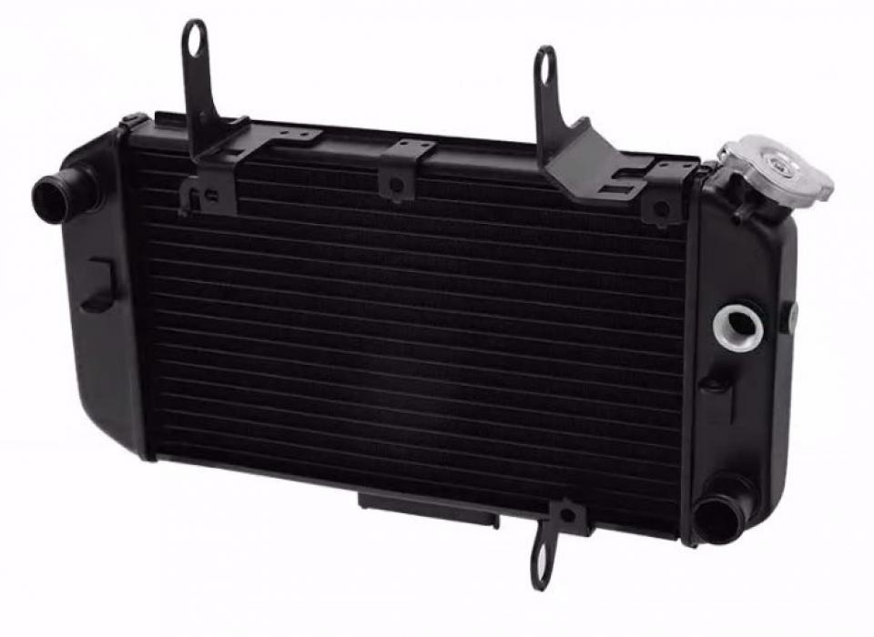 Radiateur de refroidissement pour  