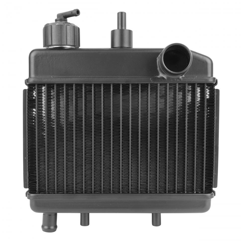 Radiateur de refroidissement SELECTION P2R (Motorisé) pour Auto Neuf