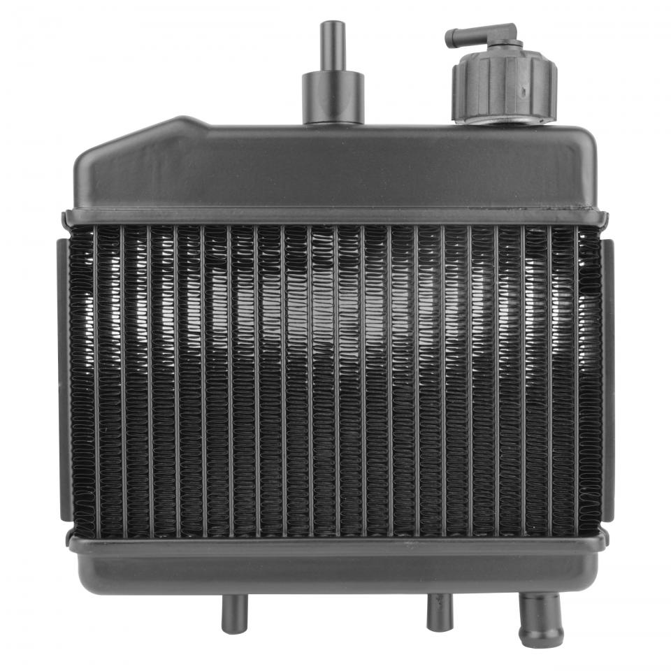 Radiateur de refroidissement SELECTION P2R (Motorisé) pour Auto Neuf