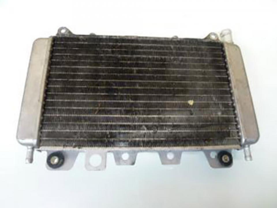 photo piece : Radiateur de refroidissement->Piaggio X9
