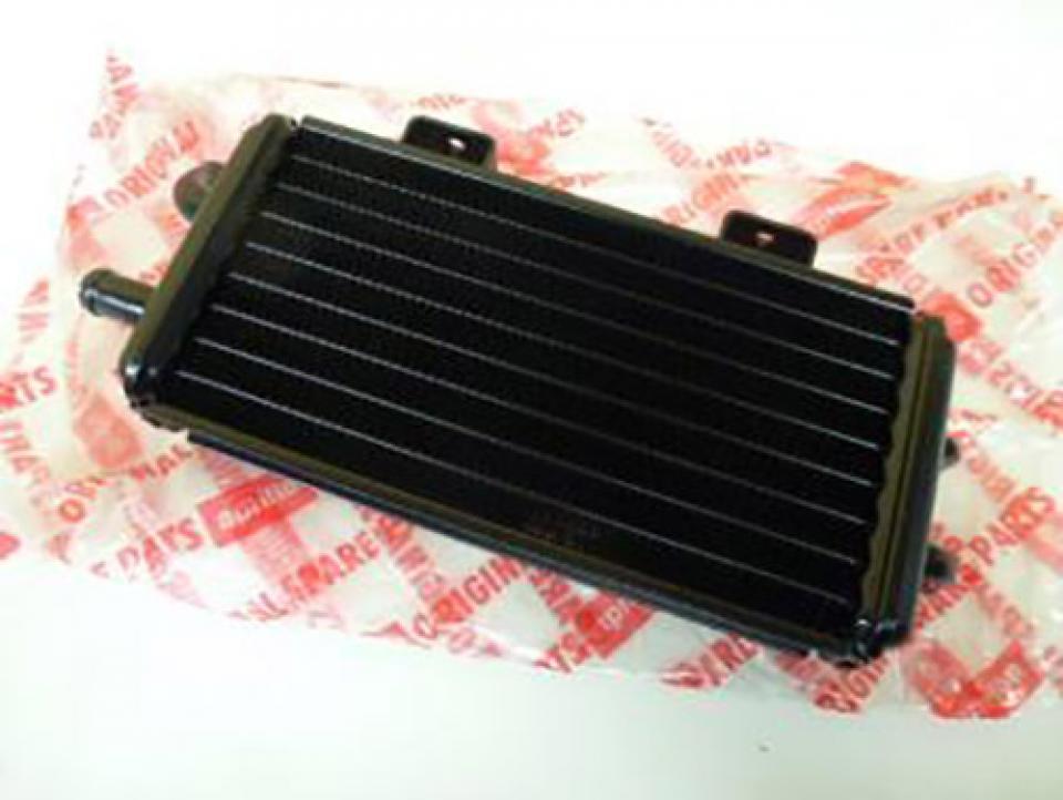 photo piece : Radiateur de refroidissement->Aprilia Rally