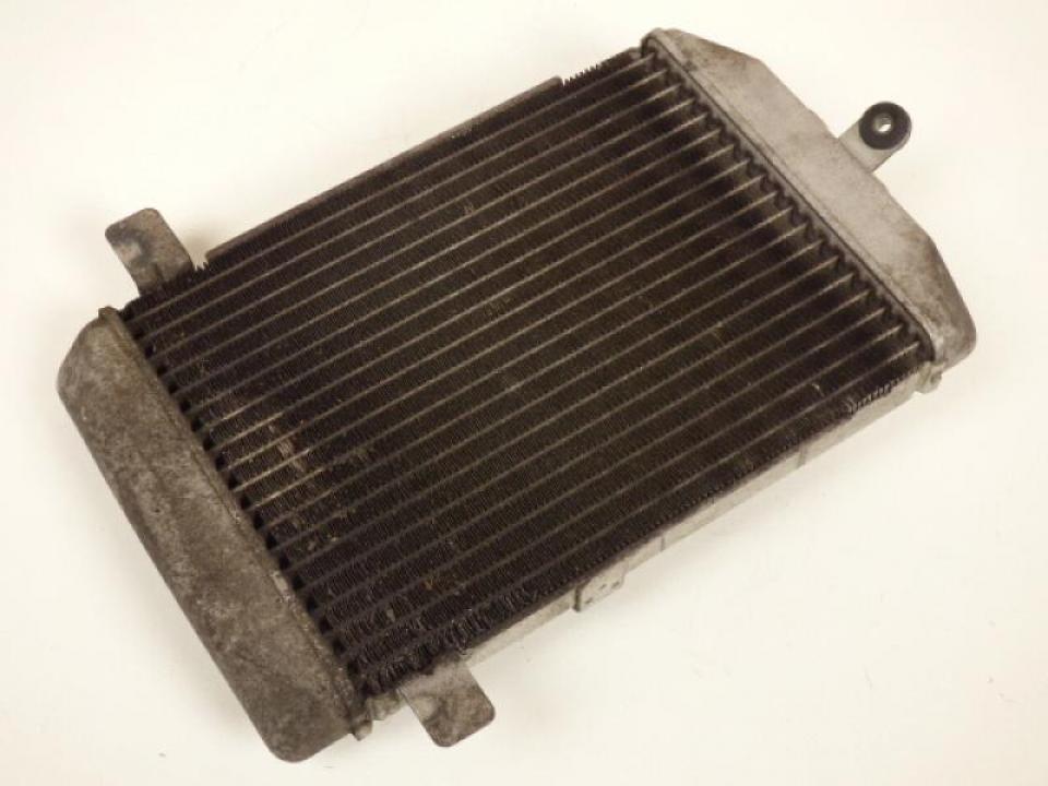 photo piece : Radiateur de refroidissement->Suzuki Burgman