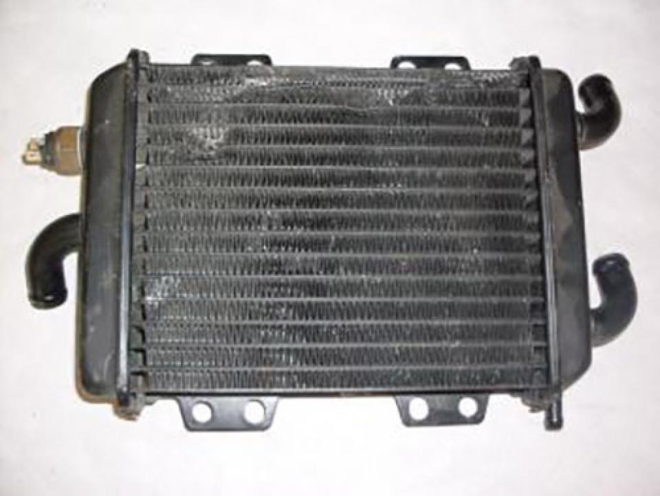 Radiateur de refroidissement pour scooter Peugeot 125 Elyseo 1999 à 2004 45293