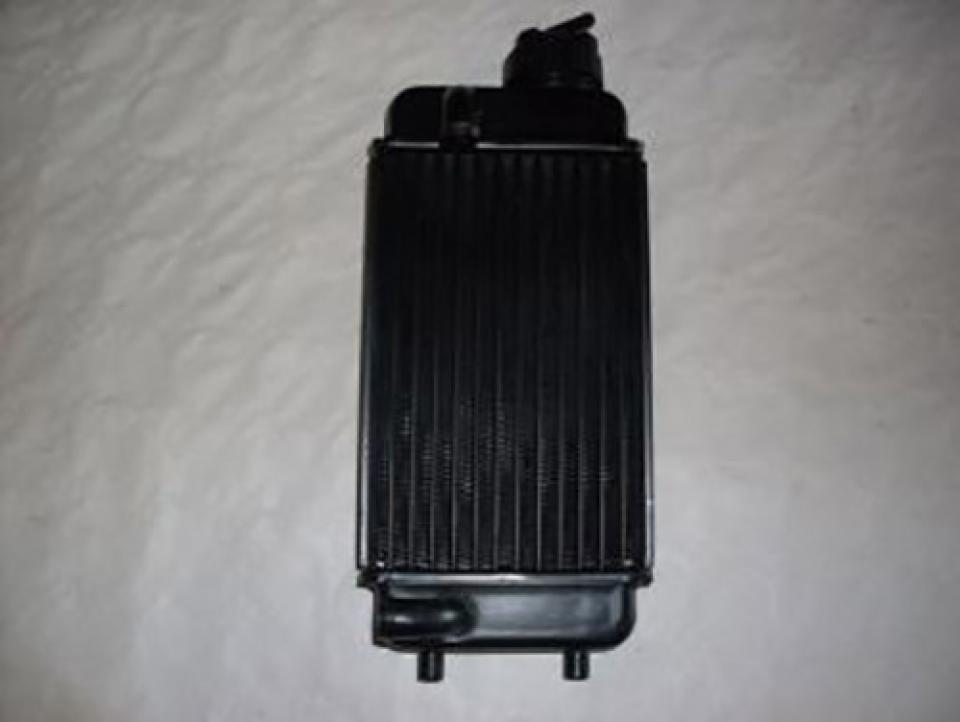 photo piece : Radiateur de refroidissement->Aprilia RX